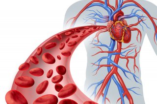 Tỷ lệ người trẻ bị cao huyết áp ngày càng tăng cao - nguyên nhân và cách điểu trị