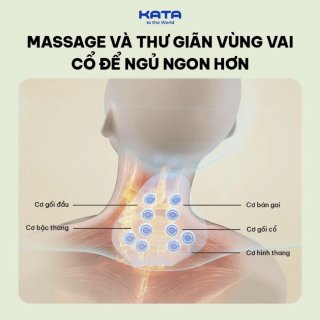 Gối Massage cổ SKG P5-1