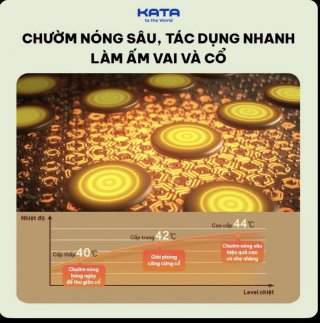 Gối Massage cổ SKG P5-1