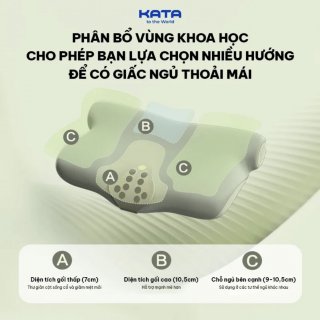 Gối Massage cổ SKG P5-1