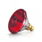 Bóng đèn hồng ngoại philips 150W nóng đều trị liệu tốt